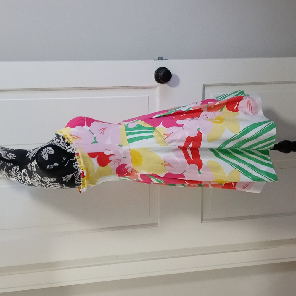 💐Lilly Pulitzer💐 - Blossom Dress - Picture 4 of 15